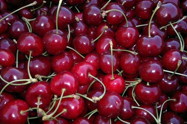 cherry