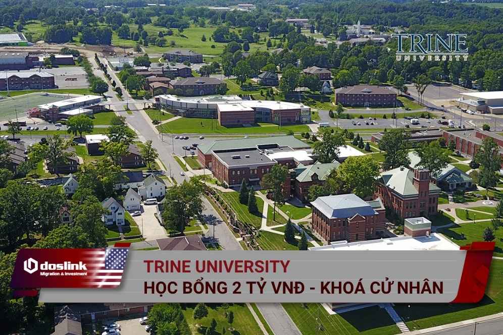 trine university