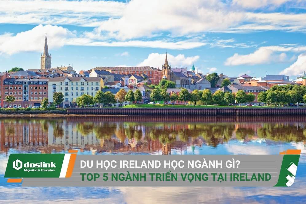 Du học Ireland học ngành gì