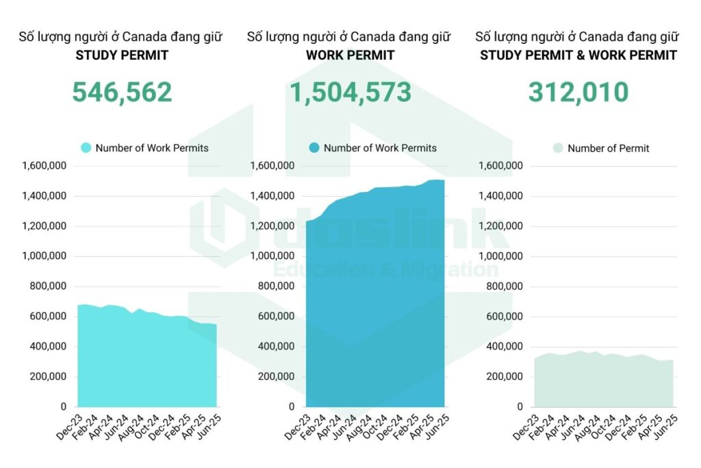 Tổng số lượng người đang nắm giữ study permit và work permit canada đến tháng 06.2025