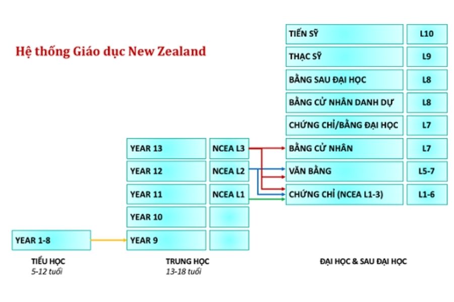 hệ thống giáo dục new zealand
