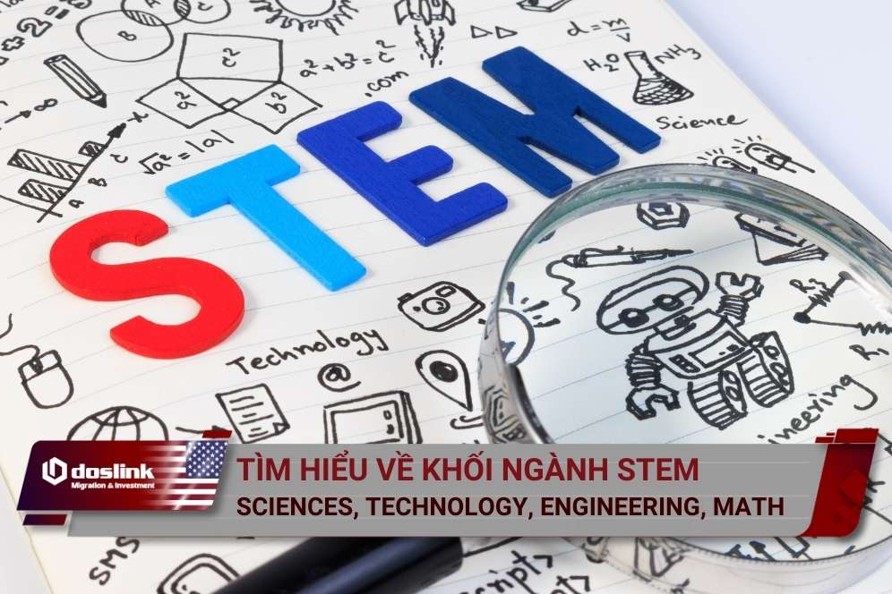 khối ngành stem